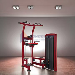 Mesin Dip & Pull-Up yang dibantu