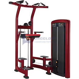 chin dip plate weight assisted
