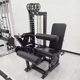 Curl Leg Combo Leg Extension