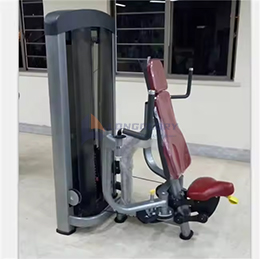 Mesin gim lalat dada